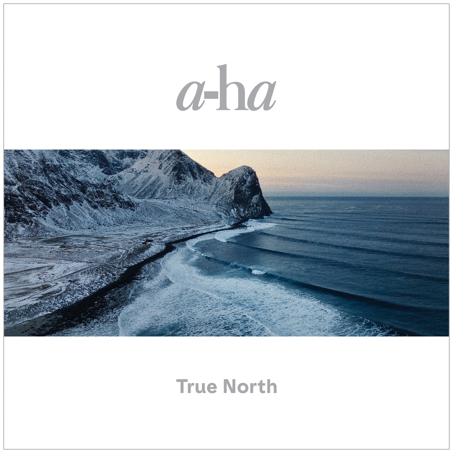 TRUE NORTH VINYL