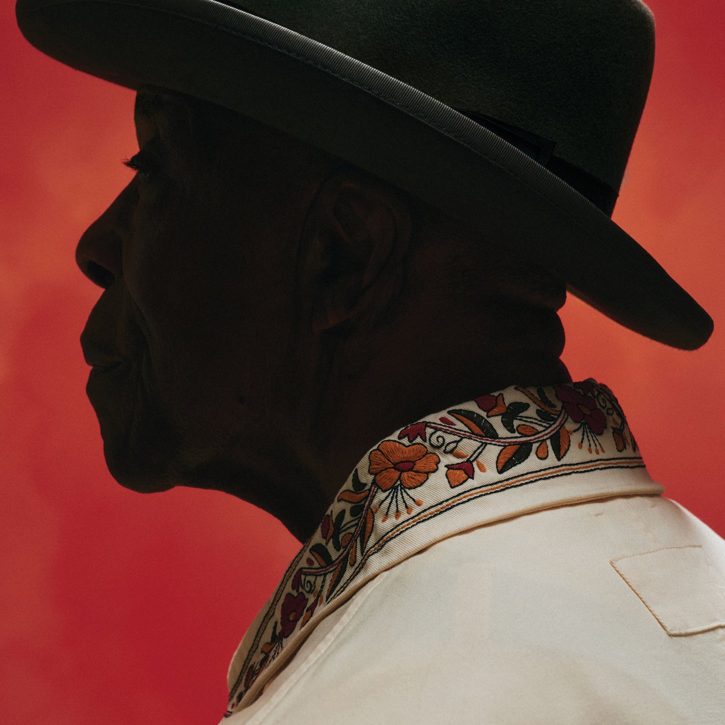 AIN'T DONE WITH THE BLUES CD