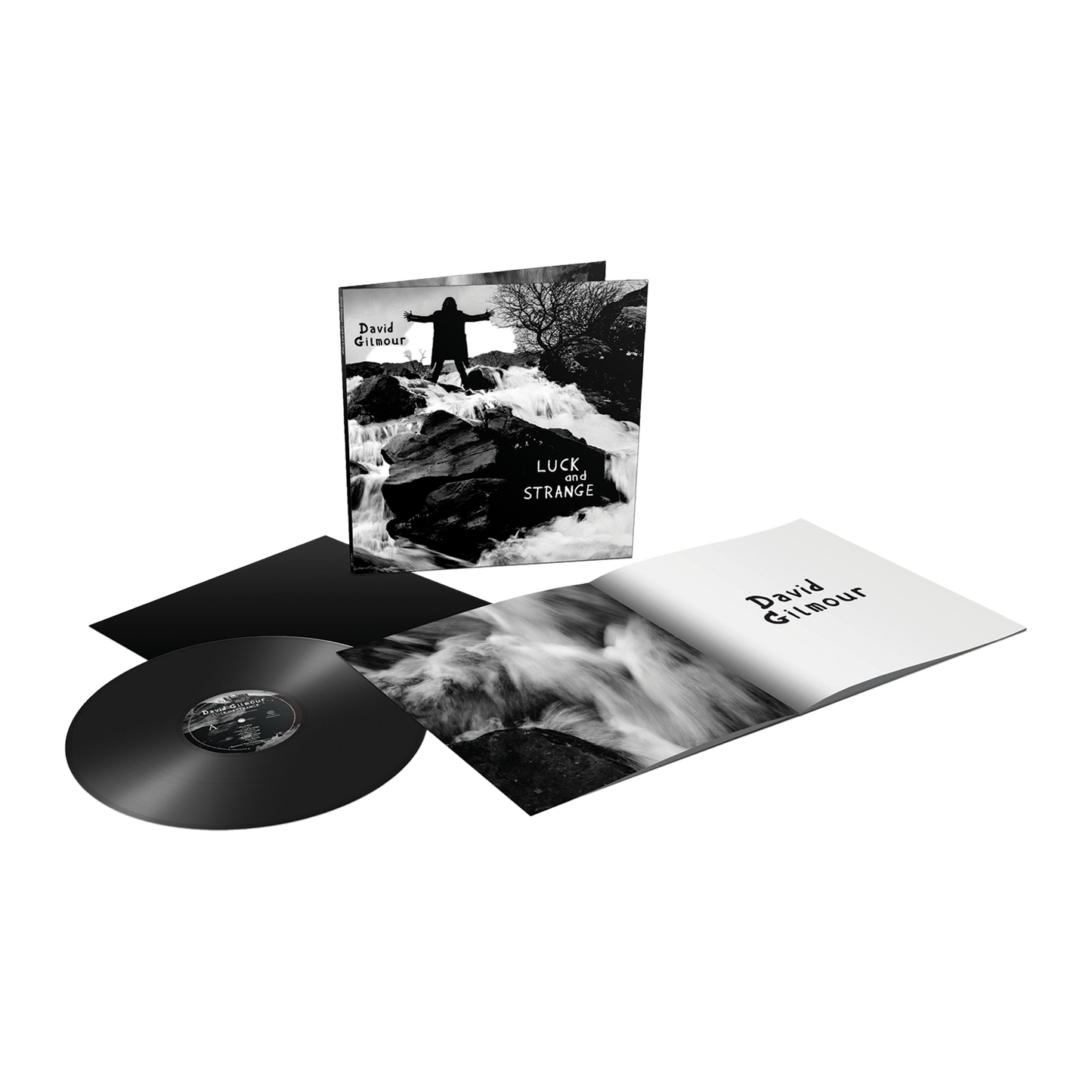 LUCK AND STRANGE VINYL