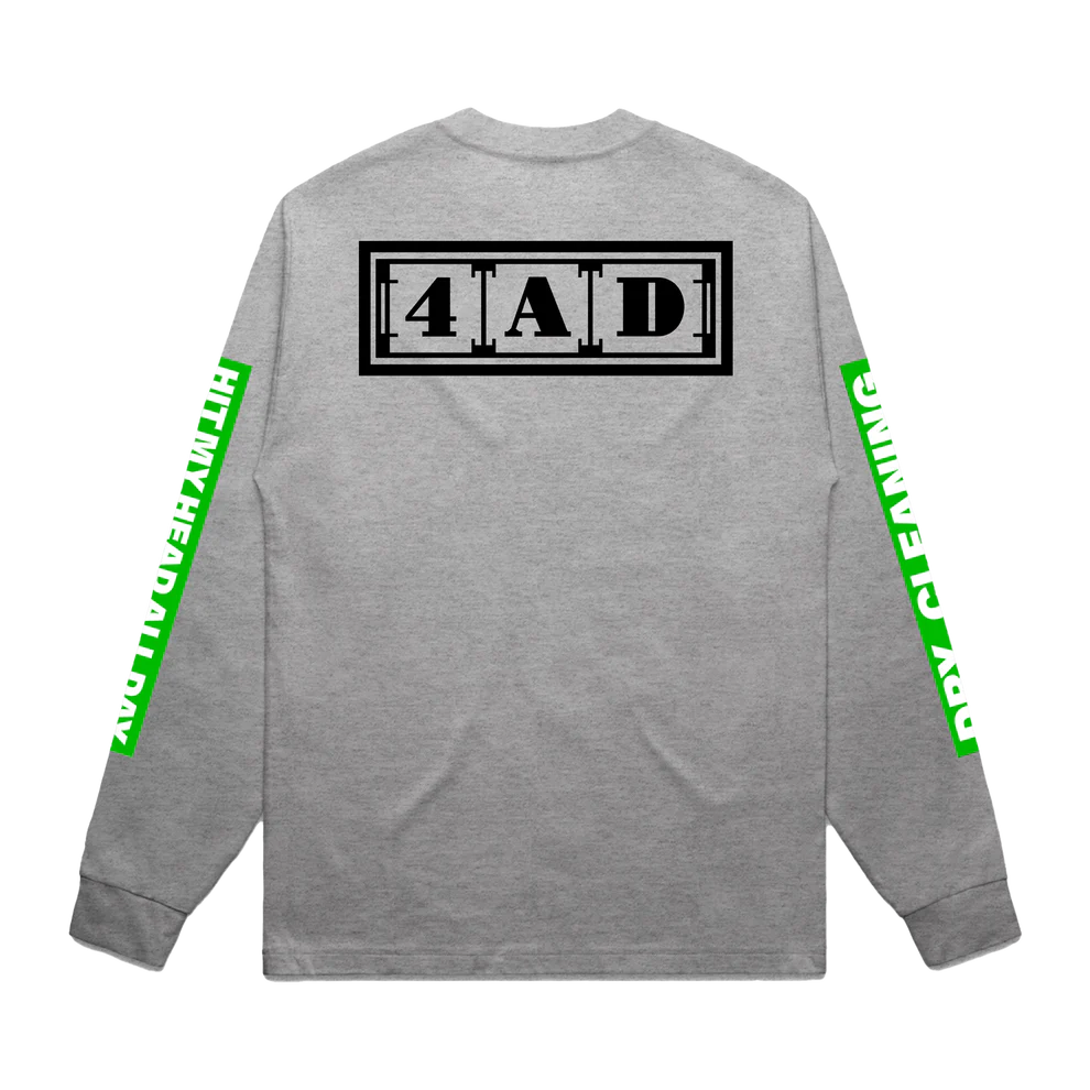 Hit My Head Grey Longsleeve