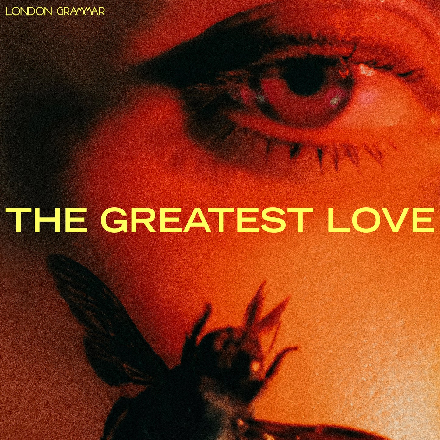 THE GREATEST LOVE VINYL