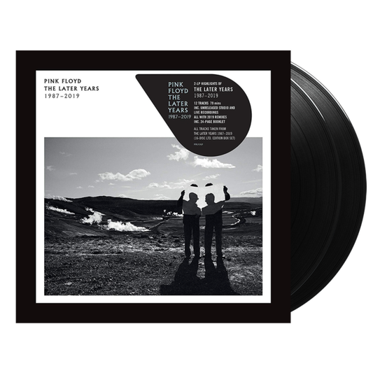 THE LATER YEARS 1987-2019 12" VINYL (2LP)