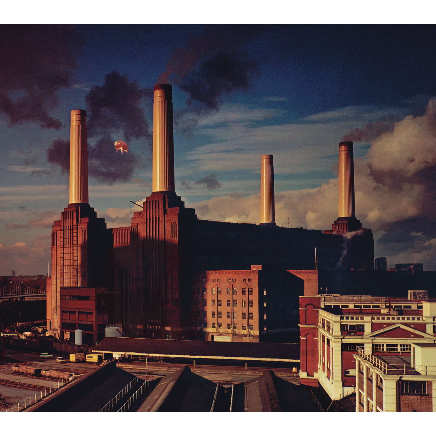 ANIMALS VINYL