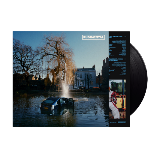 RUDIM3NTAL VINYL