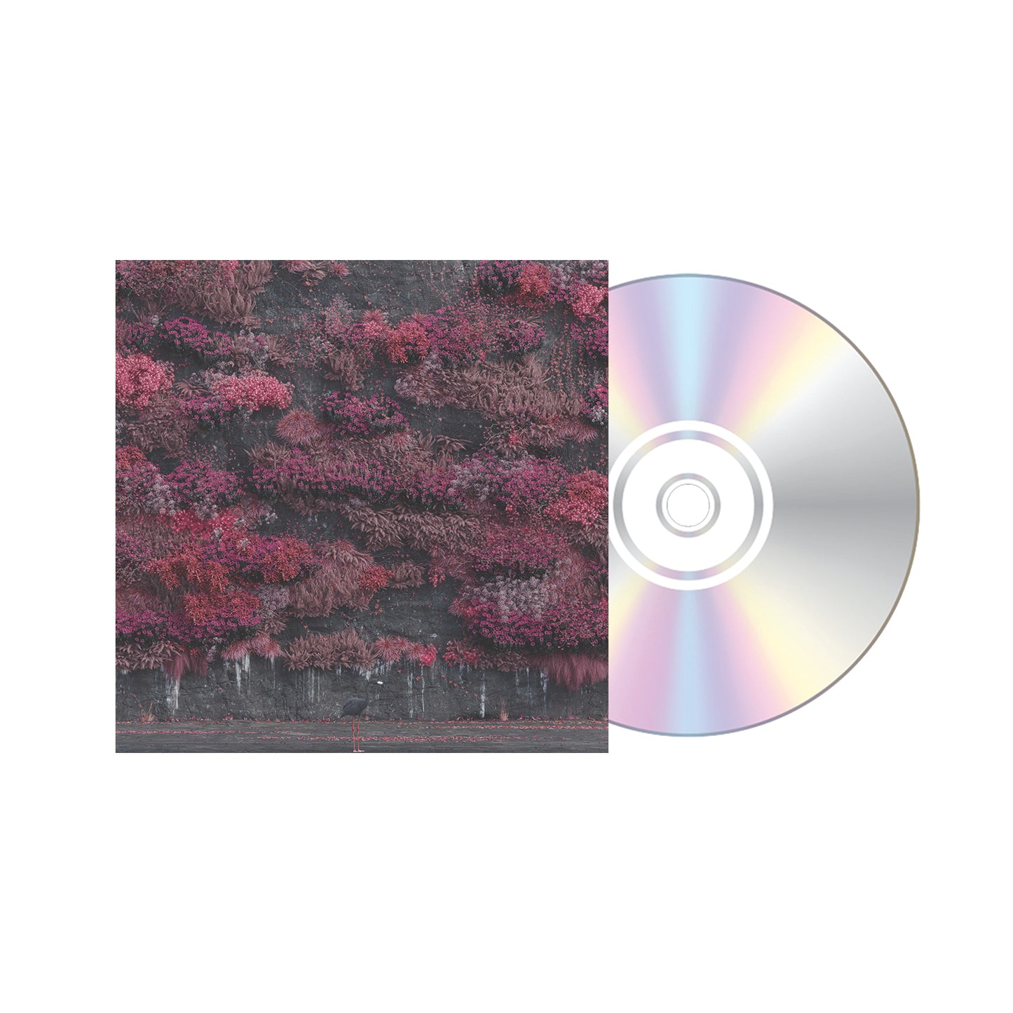 EVEN IN ARCADIA CD