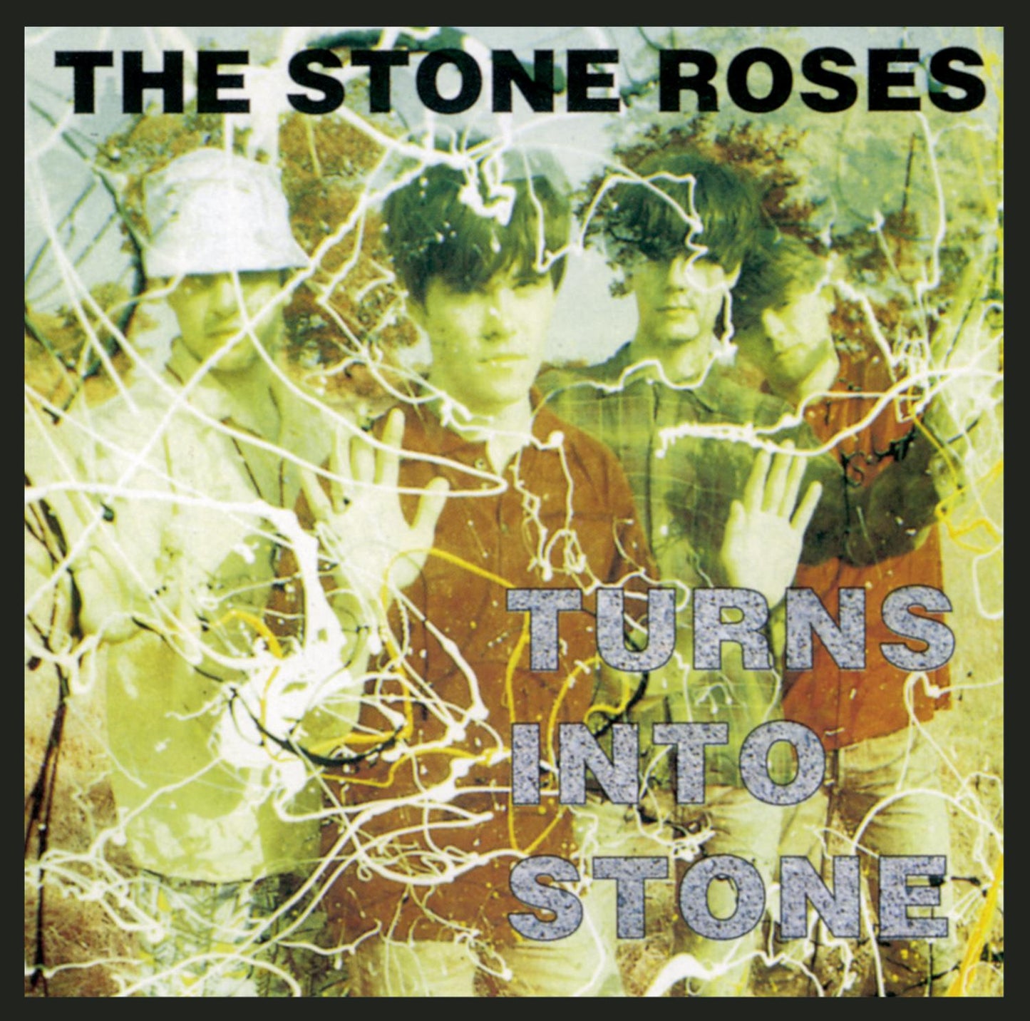 TURNS INTO STONE VINYL