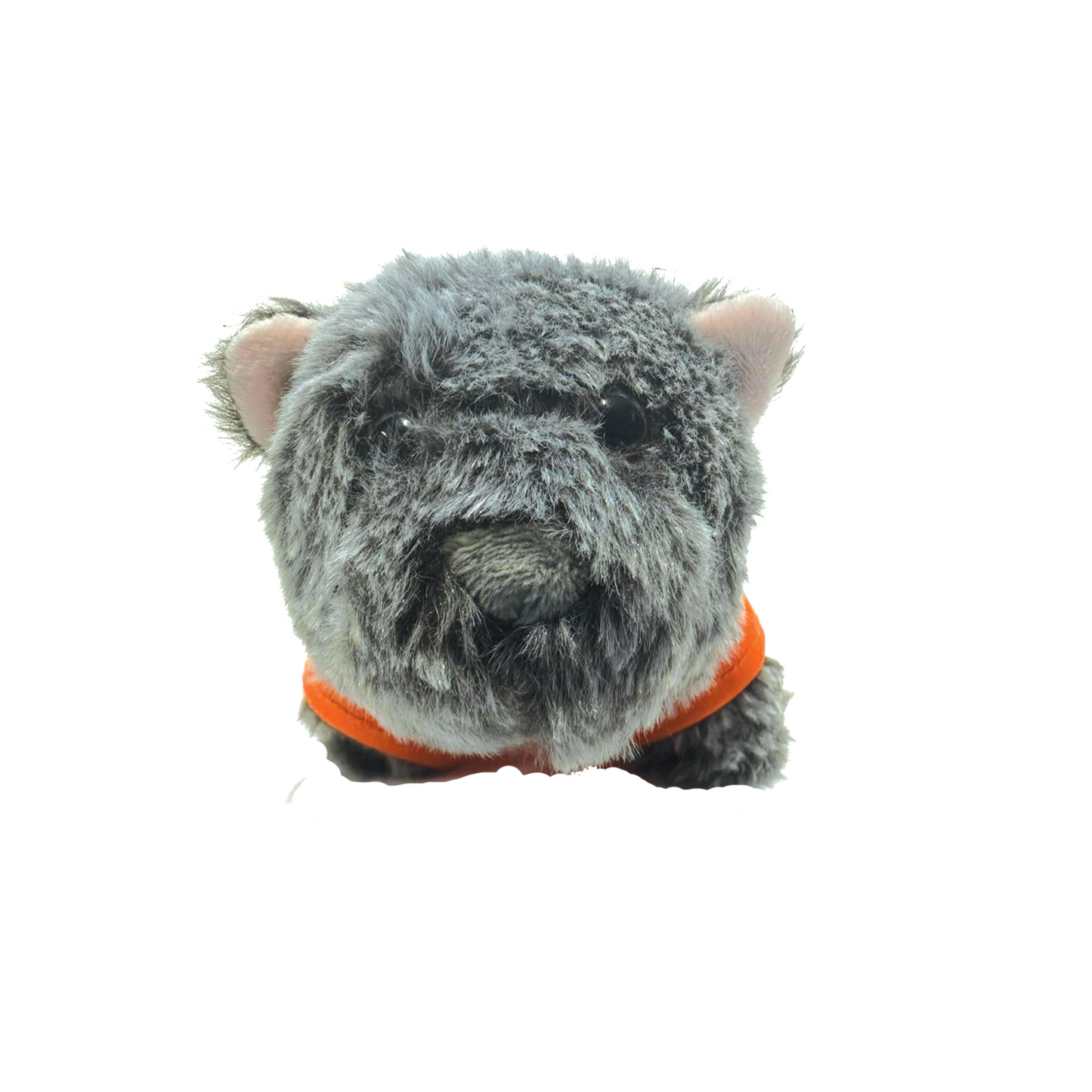 Wombat Plush