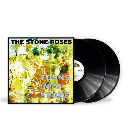 TURNS INTO STONE VINYL