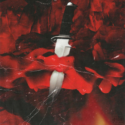 SAVAGE MODE (10th ANNIVERSARY EDITION) VINYL