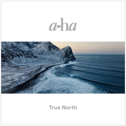 TRUE NORTH VINYL