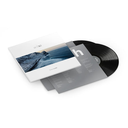 TRUE NORTH VINYL