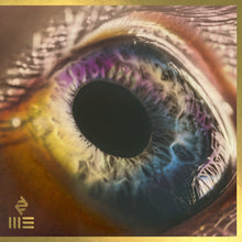 Load image into Gallery viewer, WE (STANDARD) VINYL