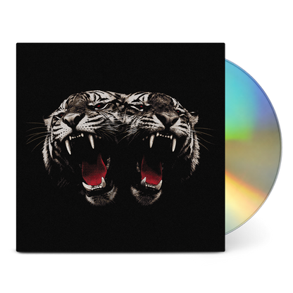 Dead Company | CD