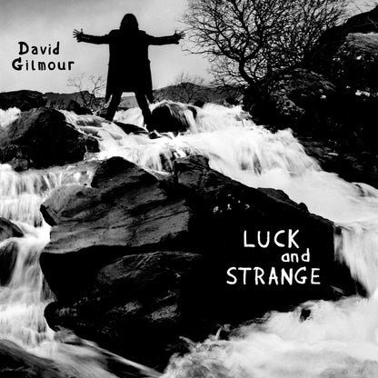 LUCK AND STRANGE CD