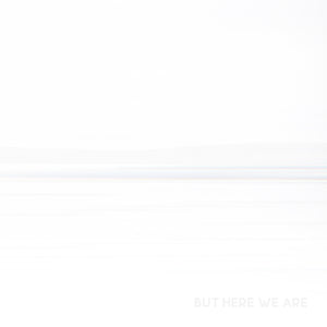 BUT HERE WE ARE - CD