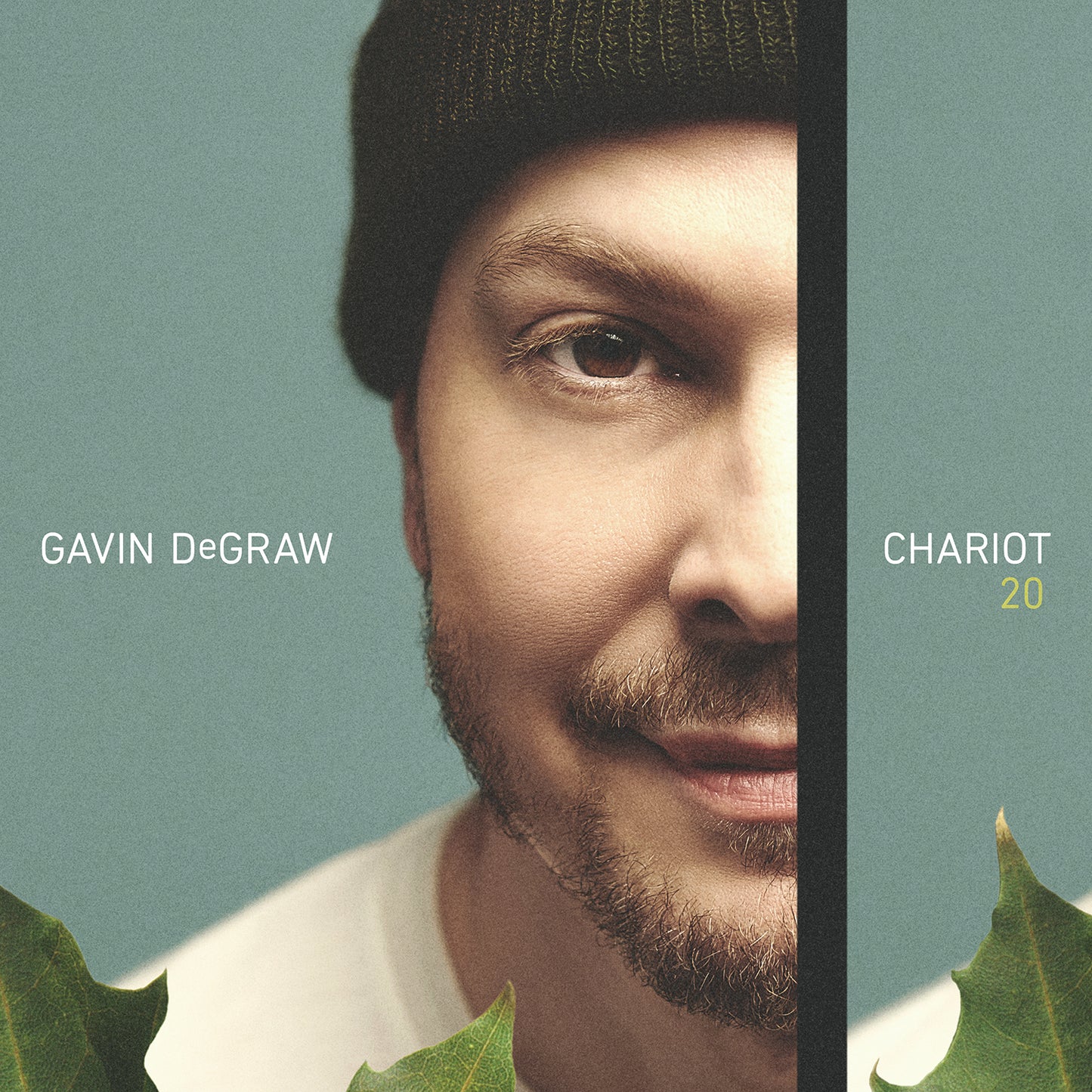 CHARIOT 20 VINYL