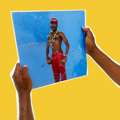 DON'T TAP THE GLASS LP