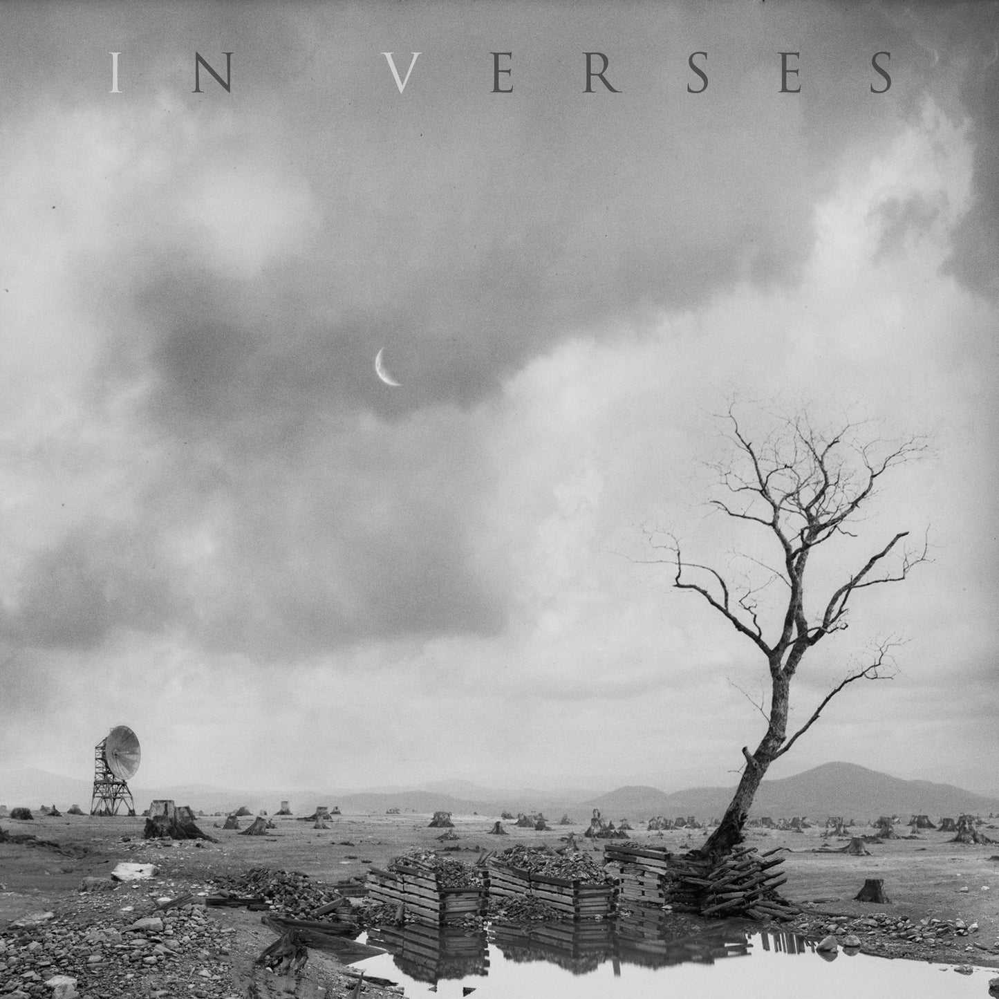 IN VERSES VINYL