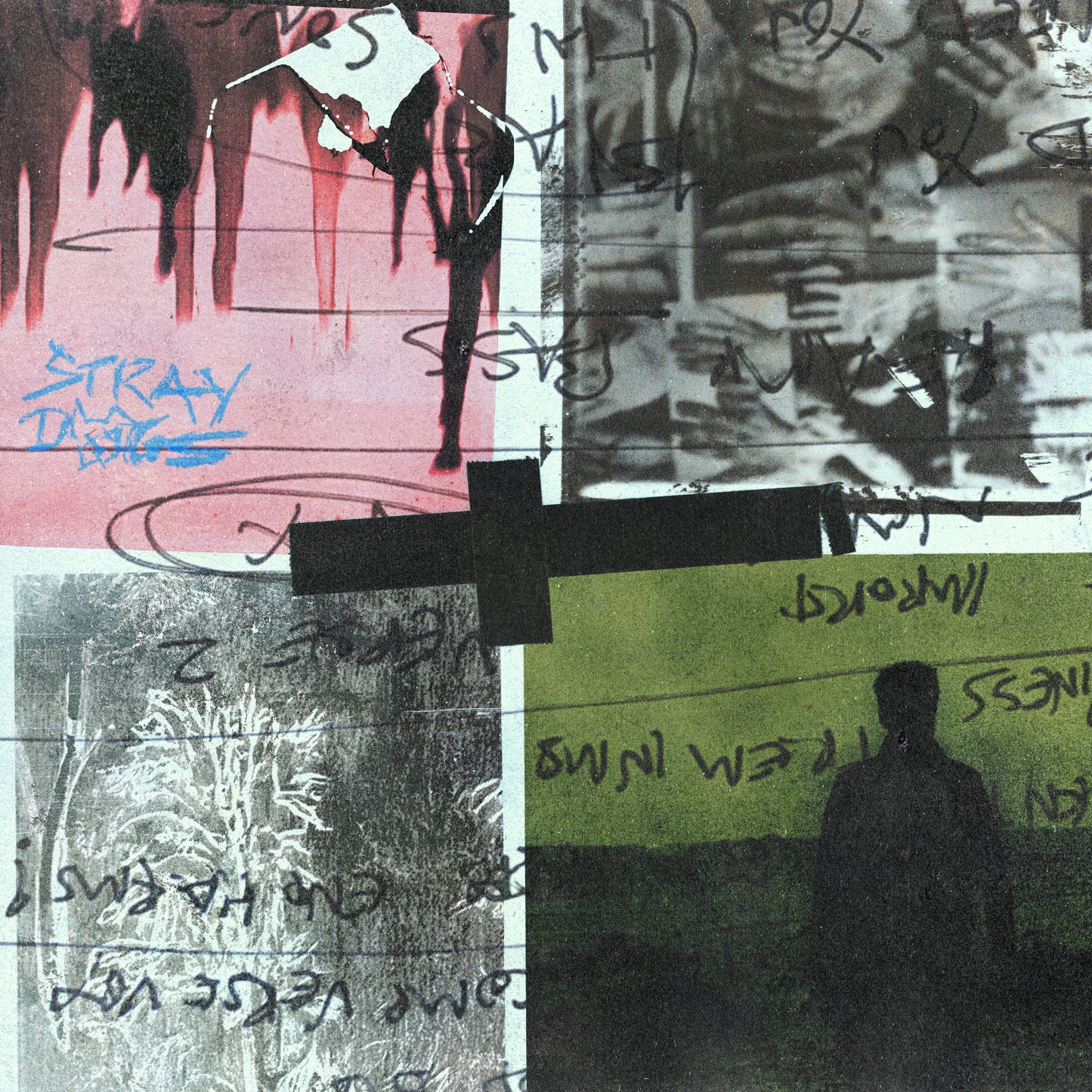 STRAY DOGS CD
