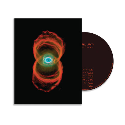 BINAURAL (25TH ANNIVERSARY EDITION) (BLU-RAY AUDIO)