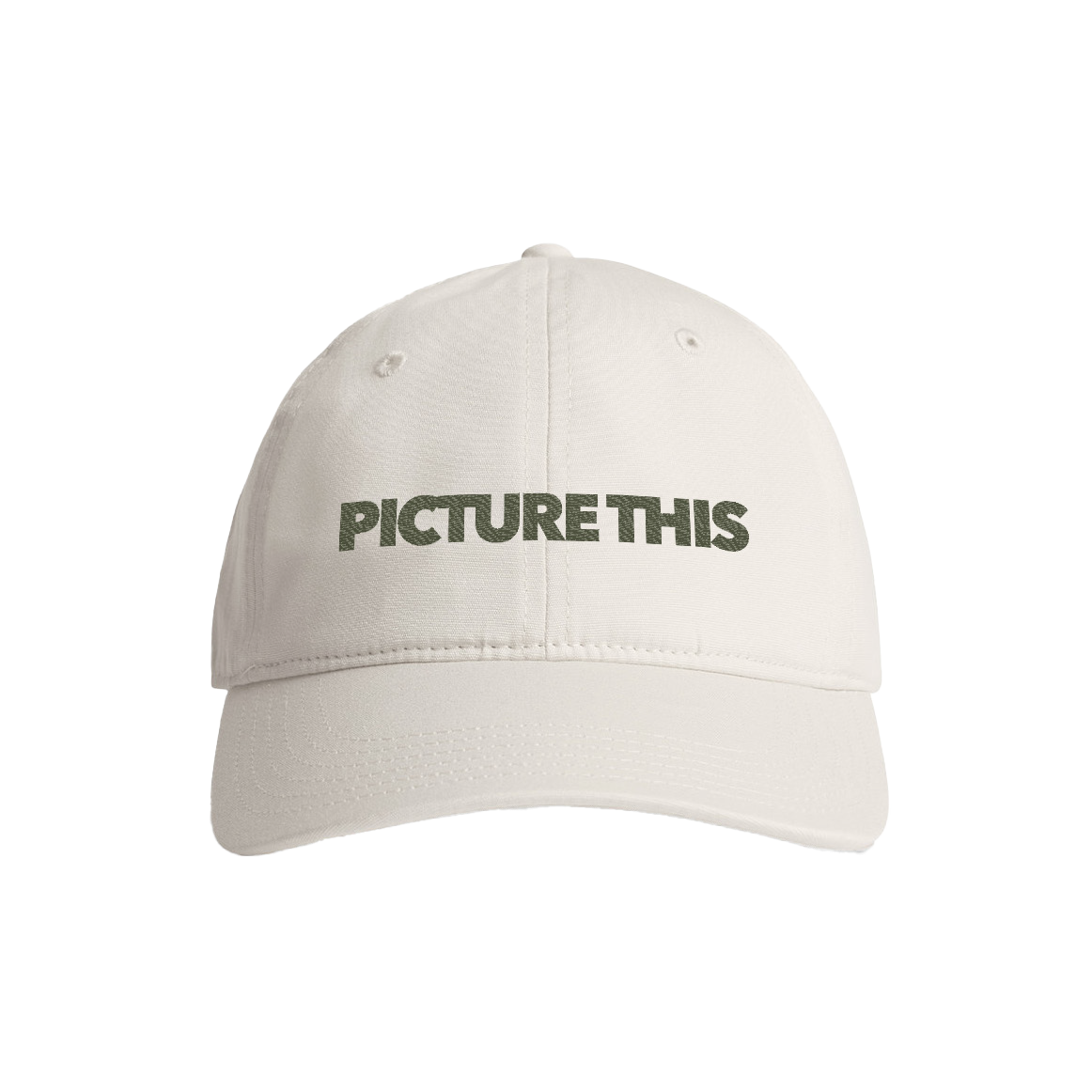 Picture This Cap