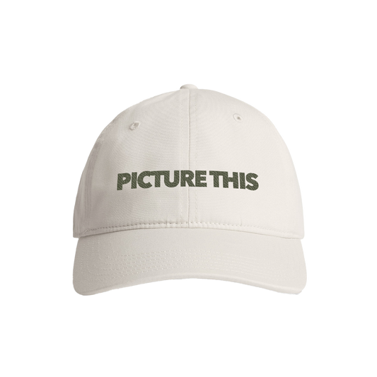 Picture This Cap