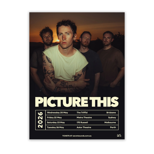 Picture This Poster