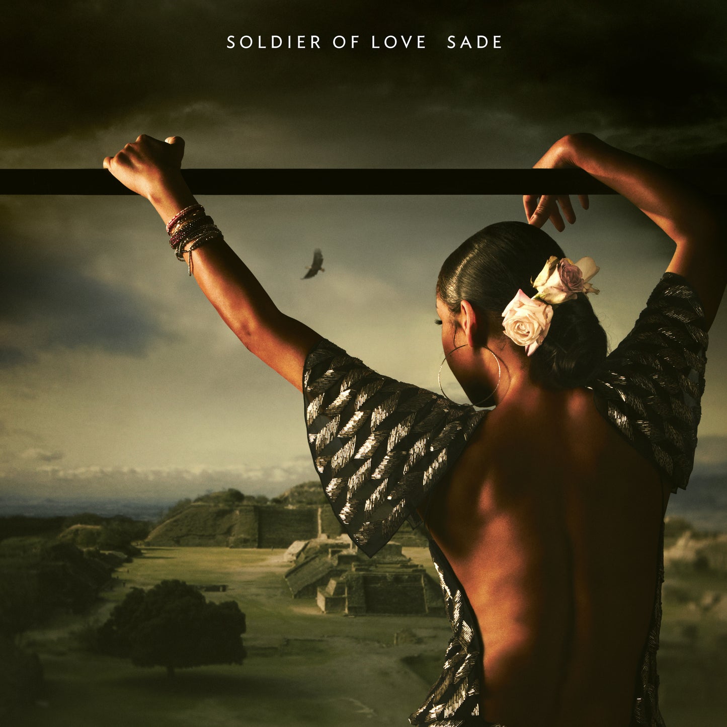 SOLDIER OF LOVE VINYL