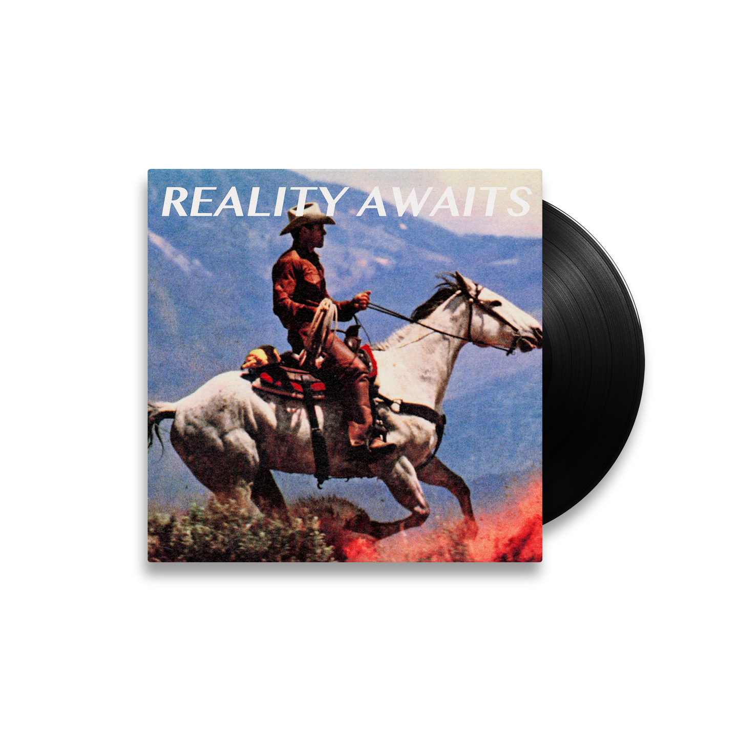 REALITY AWAITS VINYL