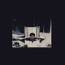 Load image into Gallery viewer, I Don&#39;t Like Shit, I Don&#39;t Go Outside Vinyl