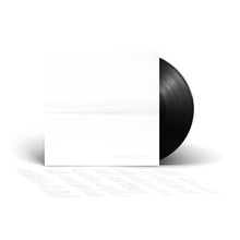 Load image into Gallery viewer, BUT HERE WE ARE Vinyl (BLACK)