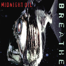 Load image into Gallery viewer, Breathe (Vinyl)