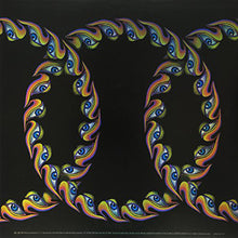 Load image into Gallery viewer, Lateralus (2LP Vinyl)