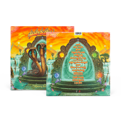 Terra Firma 2LP Vinyl